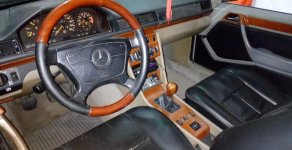 Mercedes-Benz E230   1989 - Bán Mercedes E230 đời 1989, màu xám (ghi), nhập khẩu chính hãng giá 85 triệu tại Tp.HCM