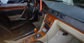 Mercedes-Benz E230 1989 - Bán Mercedes đời 1989, màu xám (ghi), xe nhập giá 76 triệu tại Tp.HCM