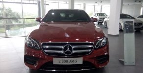 Mercedes-Benz E300 2017 - Bán xe Mercedes đời 2017, màu đỏ, xe nhập giá 2 tỷ 960 tr tại Tp.HCM