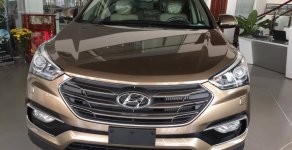 Hyundai Santa Fe 2.4AT 2WD 2017 - Bán xe Hyundai Santa Fe đời 2017 mới 100%, giá tốt, hỗ trợ vay vốn, lãi suất thấp. Liên hệ: 01887177000 Phú Yên giá 1 tỷ 111 tr tại Phú Yên