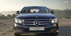 Mercedes-Benz E250   2017 - Bán Mercedes E250 đời 2017, màu đen giá 2 tỷ 479 tr tại Hải Phòng