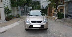 Ford Escape XLS 2012 - Ford Escape 2.3 XLS ghi vàng 2012 giá 495 triệu tại Tp.HCM