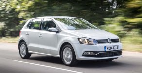 Volkswagen Polo 2017 - Bán Volkswagen Polo sản xuất 2017, màu trắng, xe nhập giá cạnh tranh giá 695 triệu tại Bình Dương
