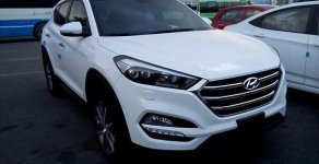 Hyundai Tucson SUV 2017 - Cần bán xe Hyundai Tucson SUV đời 2017, màu trắng giá 1 tỷ 10 tr tại Thái Bình