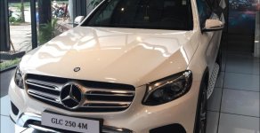 Mercedes-Benz Smart GLC 250 4 Matic 2017 - Bán xe Mercedes GLC 250 4 Matic đời 2017, màu trắng, khuyến mãi hấp dẫn giá 1 tỷ 870 tr tại Đà Nẵng
