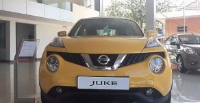 Nissan Juke AT 2015 - Bán Nissan Juke AT đời 2015, màu vàng, nhập khẩu giá 1 tỷ 60 tr tại Quảng Trị