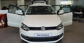 Volkswagen Polo E 2016 - Bán ô tô Volkswagen Polo E năm 2016, màu trắng, xe nhập giá 695 triệu tại Tp.HCM