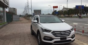 Hyundai Santa Fe CKD 2017 - Bán Hyundai Santa Fe dầu đặc biệt 2017, khuyến mại lên tới gần 100 triệu, đủ màu, giao xe ngay giá 1 tỷ 155 tr tại Hà Nội