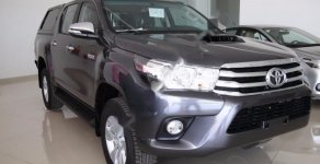 Toyota Hilux G MT 2017 - Cần bán Toyota Hilux G MT đời 2017, màu xám, xe nhập, giá 843tr giá 843 triệu tại Bình Thuận  
