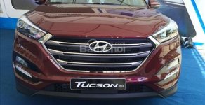 Hyundai Tucson 2017 - [Bình Thuận] Bán xe Hyundai Tucson đời 2017, giá tốt nhất. Hỗ trợ trả góp 100% giá xe giá 954 triệu tại Bình Thuận  