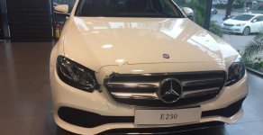 Mercedes-Benz E250 2017 - Bán Mercedes E250 sản xuất 2017, màu trắng giá 2 tỷ 479 tr tại Hà Nội