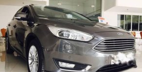 Ford Focus  Ecoboost  2016 - Bán Ford Focus Ecoboost 2016, màu nâu, giá tốt giá 698 triệu tại Tp.HCM