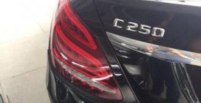 Mercedes-Benz C250 2015 - Bán xe Mercedes C250 đời 2015, màu đen giá 1 tỷ 350 tr tại Tp.HCM