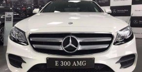 Mercedes-Benz E class E300 AMG 2017 - Bán xe Mercedes E300 AMG 2017, màu trắng, xe nhập giá 2 tỷ 769 tr tại Điện Biên