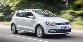 Volkswagen Polo 2016 - Bán xe Volkswagen Polo đời 2016, màu bạc, nhập khẩu nguyên chiếc giá 690 triệu tại Bình Dương