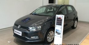 Volkswagen Polo 2017 - Polo Hatchback xe thương hiệu Đức nhập khẩu - LH Quang Long 0933689294 giá 695 triệu tại Lâm Đồng