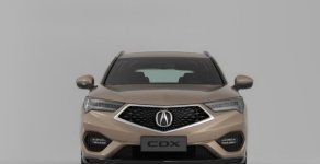 Acura CDX 2017 - Cần bán Acura CDX đời 2017, màu nâu, nhập khẩu nguyên chiếc giá 5 tỷ tại Tp.HCM