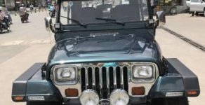 Jeep Wrangler 1995 - Bán xe Jeep Wrangler đời 1995, xe nhập số sàn giá cạnh tranh giá 450 triệu tại Tp.HCM
