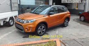 Suzuki Vitara 2017 - Bán Suzuki Vitara đời 2017, nhập khẩu giá 729 triệu tại Cao Bằng