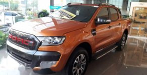Ford Ranger   2017 - Bán xe Ford Ranger đời 2017, nhập khẩu giá 634 triệu tại Vĩnh Long