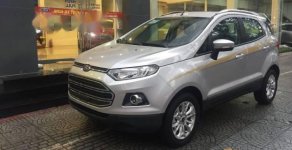 Ford EcoSport   2017 - Bán xe Ford EcoSport năm 2017, màu bạc giá 570 triệu tại TT - Huế