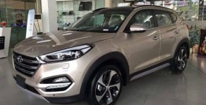 Hyundai Tucson   2017 - Bán xe Hyundai Tucson đời 2017, xe nhập, giá chỉ 950 triệu giá 950 triệu tại Đắk Nông