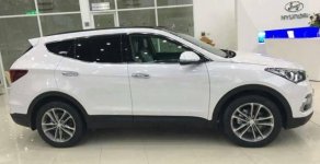 Hyundai Santa Fe   2017 - Bán xe Hyundai Santa Fe đời 2017, màu trắng giá 898 triệu tại Đắk Nông
