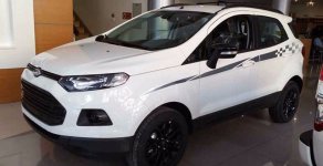 Ford EcoSport 2017 - Bán ô tô Ford EcoSport đời 2017, màu trắng, nhập khẩu  giá 499 triệu tại Bình Phước
