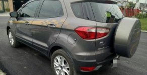Ford EcoSport MT 2016 - Bán Ford EcoSport MT đời 2016 số sàn, giá 485tr giá 485 triệu tại Tp.HCM