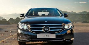 Mercedes-Benz E class E250 2017 - Bán Mercedes E250 đời 2017 giá 2 tỷ 479 tr tại Điện Biên