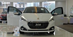 Peugeot 208 2015 - Bán Peugeot 208 đời 2015, màu trắng, nhập khẩu nguyên chiếc, 850tr giá 850 triệu tại Cần Thơ