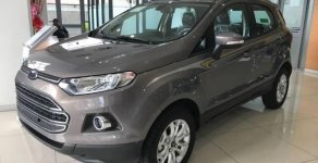 Ford EcoSport 1.5L AT  2017 - Cần bán xe Ford EcoSport 1.5L AT sản xuất 2017, giá chỉ 555 triệu giá 555 triệu tại Bình Phước