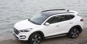 Hyundai Tucson   2017 - Bán xe Hyundai Tucson đời 2017, màu trắng, giá chỉ 890 triệu giá 890 triệu tại Bình Thuận  