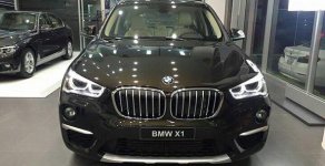 BMW X1 xDrive 18i   2017 - Bán xe BMW X1 xDrive 18i đời 2017, màu đen, nhập khẩu giá 1 tỷ 775 tr tại Hà Nội