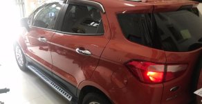 Ford EcoSport 2016 - Bán ô tô Ford EcoSport đời 2016, nhập khẩu nguyên chiếc, giá 569tr giá 569 triệu tại Tiền Giang