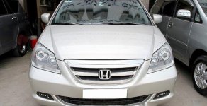 Honda Odyssey Touring 2005 - Bán Honda Odyssey Touring đời 2005, màu bạc   giá 540 triệu tại Tp.HCM