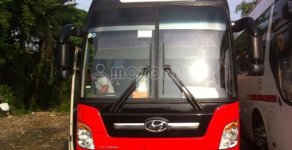 Hyundai Universe 2007 - Cần bán gấp Hyundai Universe đời 2007 giá 1 tỷ 900 tr tại Tp.HCM