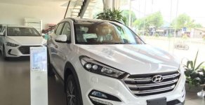 Hyundai Tucson 2.0AT 2017 - Bán Hyundai Tucson 2.0AT đời 2017, màu trắng giá 828 triệu tại Đắk Nông