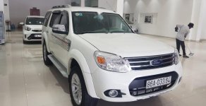 Ford Everest AT 2015 - Bán xe Ford Everest AT năm 2015, màu trắng số tự động, giá 665tr giá 665 triệu tại Tp.HCM