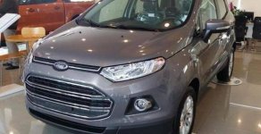 Ford EcoSport 2016 - Cần bán xe Ford EcoSport đời 2016, giá chỉ 530 triệu giá 530 triệu tại An Giang