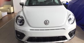 Volkswagen Beetle 2017 - Beetle cuốn hút mọi ánh nhìn, Queen Car giá 1 tỷ 468 tr tại Bình Dương