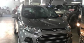 Ford EcoSport Trend 2018 - Bán xe Ford EcoSport Trend đời 2018, màu nâu giá 500 triệu tại An Giang