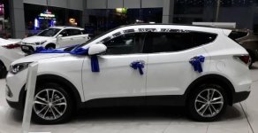 Hyundai Santa Fe 2017 - Bán xe Hyundai Santa Fe sản xuất 2017, màu trắng giá 1 tỷ 10 tr tại Sóc Trăng