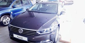 Volkswagen Passat Bluemotion 2018 - Bán Volkswagen Passat Bluemotion đời 2018, nhập khẩu giá 1 tỷ 450 tr tại Đà Nẵng