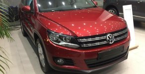 Volkswagen Tiguan 2017 - Bán ô tô Volkswagen Tiguan SUV năm 2017, màu trắng, xe nhập 0916721166 giá 1 tỷ 290 tr tại Hà Nội