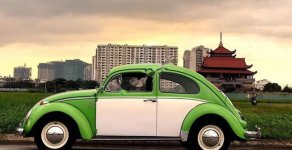 Volkswagen Beetle   1990 - Bán xe Volkswagen Beetle đời 1990, màu xanh, xe nhập giá 292 triệu tại Tp.HCM