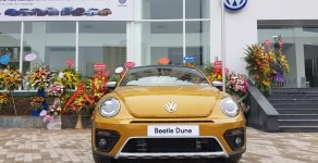 Volkswagen New Beetle AT 2017 - Bán Volkswagen New Beetle năm 2017, màu xám (ghi), xe nhập giá 1 tỷ 469 tr tại Hà Nội