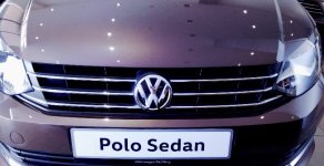 Volkswagen Polo 2017 - Bán xe Volkswagen Polo đời 2017, màu nâu, xe nhập, giá tốt giá 699 triệu tại Đà Nẵng