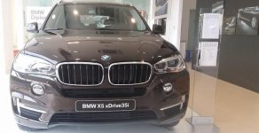 BMW X5 xDrive 35i 2018 - Bán BMW X5 xDrive 35i đời 2018, màu nâu, nhập khẩu giá 3 tỷ 199 tr tại Tp.HCM