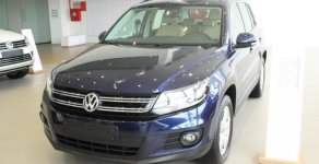 Volkswagen Tiguan 2.0 AT 2017 - Bán Volkswagen Tiguan 2.0 AT năm 2017, màu xanh lam, xe nhập giá 1 tỷ 290 tr tại Bình Dương